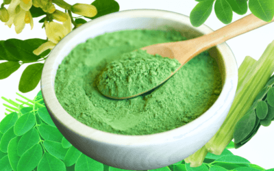 How Much Moringa Powder Is Safe Per Day?