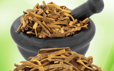 Amur Cork Bark for Weight Loss – Its Efficacy & Dosage