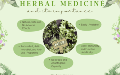 Herbal Medicine and Its Importance