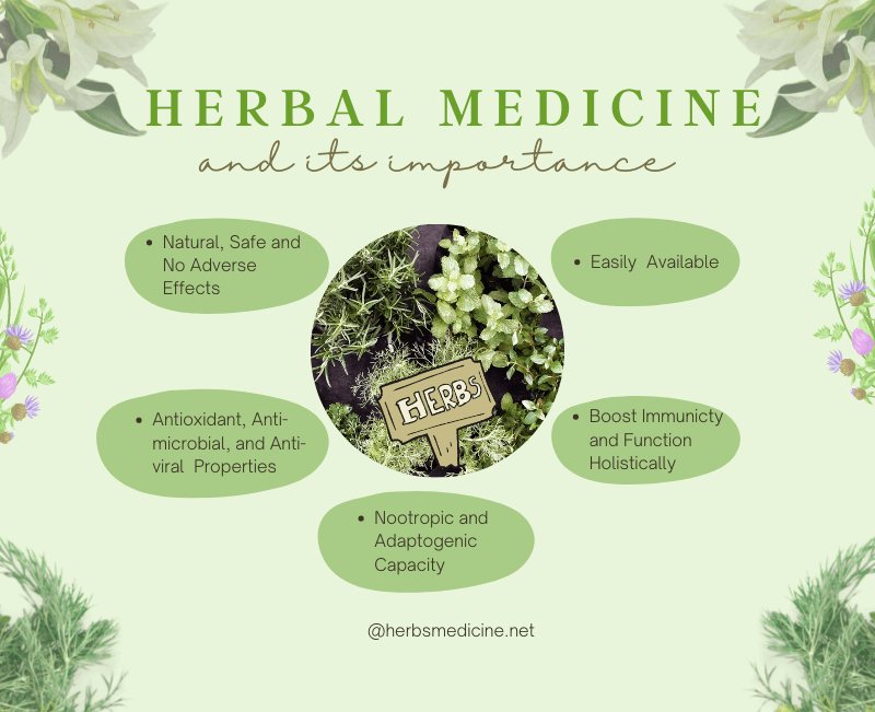 Herbal Medicine and Its Importance
