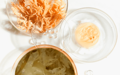 What Is Sea Moss Good For? 15 Benefits