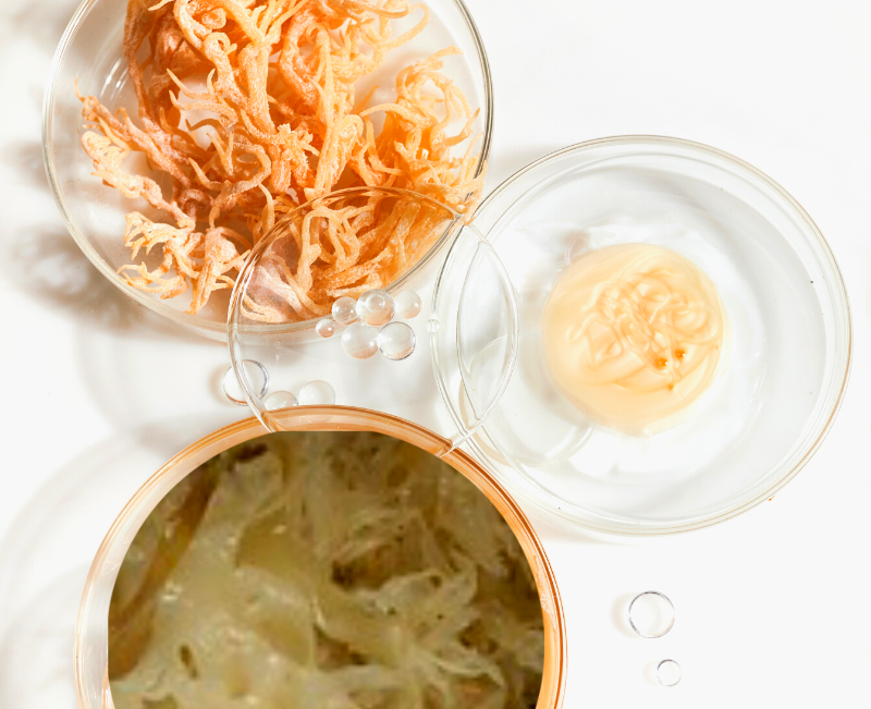 What Is Sea Moss Good For