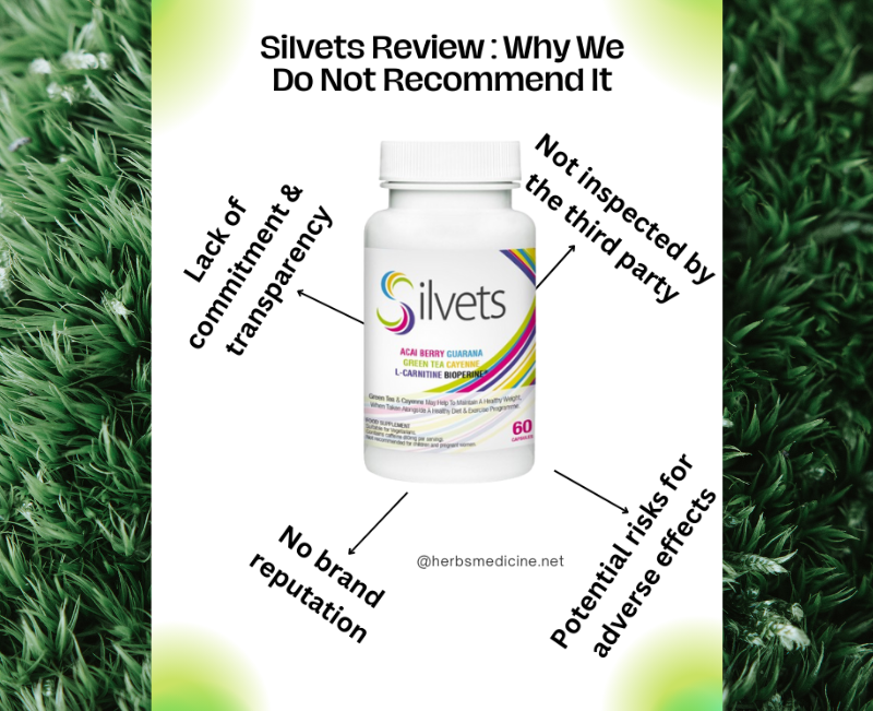 Silvets Review: Why We Do Not Recommend It